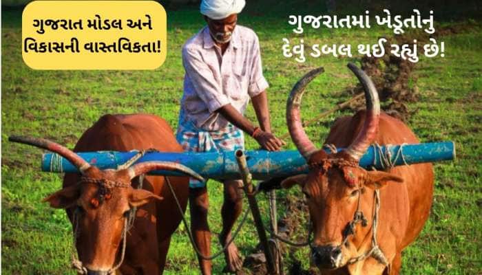 ગુજરાતના ખેડૂતોની દેવું કરીને ઘી પીવા જેવી હાલત! 1.44 લાખ કરોડના દેવાદાર, હાલત ખરાબ