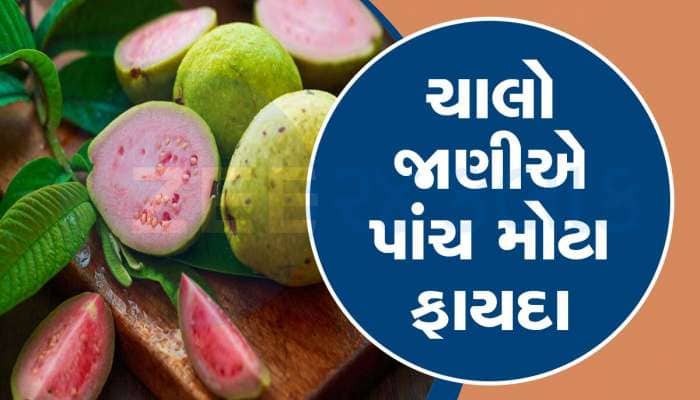 Benefits of Guava: દરરોજ એક જામફળ ખાવાથી મળશે આ 5 જબરદસ્ત ફાયદા, આ રીતે કરો સેવન