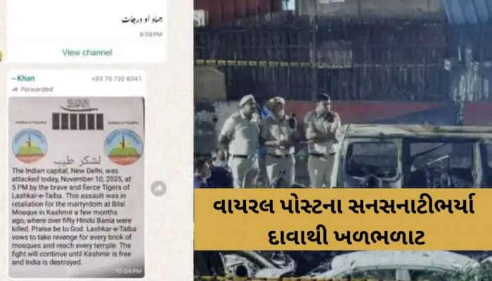 શું લશ્કર-એ-તૈયબાએ દિલ્હીના લાલ કિલ્લા પર વિસ્ફોટ કરાવ્યો? વાયરલ પોસ્ટમાં મોટો દાવો