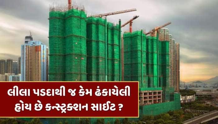 લીલા પડદાથી જ કેમ ઢંકાયેલી હોય છે કન્સ્ટ્રક્શન સાઈટ ? જાણો શું છે કારણ
