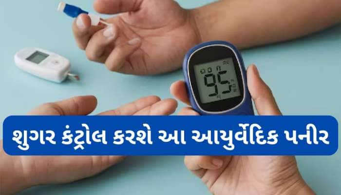 ડાયાબિટીસના દર્દીએ ખાવું આ આયુર્વેદિક પનીર, ખાવાથી કંટ્રોલ થઈ જાય છે બ્લડ શુગર લેવલ