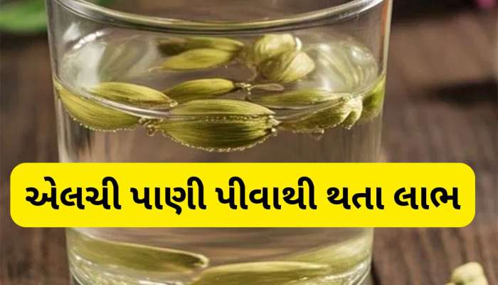 કોણે રોજ એલચી પાણી પીવું જોઈએ ? જાણો એલચી બનાવવાની રીત અને પીવાનો સાચો સમય
