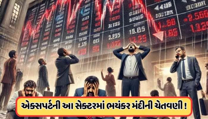 2008ની મંદીની ભવિષ્યવાણી કરનાર વ્યક્તિએ ફરી કર્યા એલર્ટ, જાણો