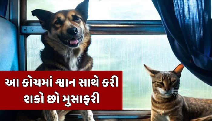 શું ટ્રેનમાં શ્વાનને લઈ જઈ શકાય છે? જાણો શું છે ભારતીય રેલવેના નિયમો