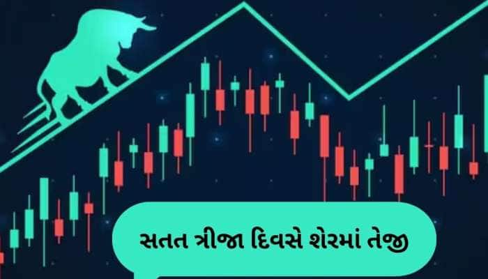 છપ્પરફાડ કમાણી, રોકેટ બન્યો આ કંપનીનો શેર, IPOથી 60% વધી ગયો ભાવ