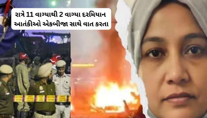 રાત પડતા જ Wolf hour માં એક્ટિવ થતા હતા આતંકવાદી, દિલ્હી બ્લાસ્ટમાં મોટો ખુલાસો