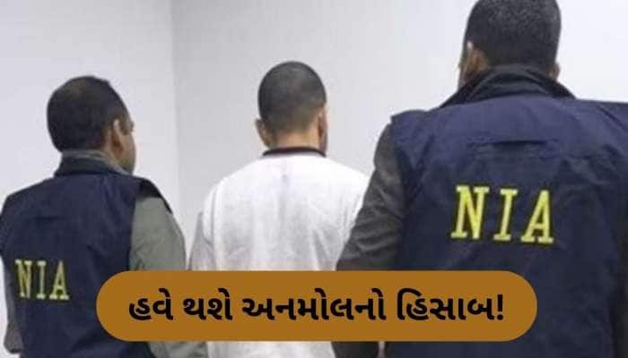 લોરેન્સ બિશ્નોઈના ભાઈ અનમોલને ભારત લાવવામાં આવ્યો, એરપોર્ટ પર NIAએ કરી ધરપકડ