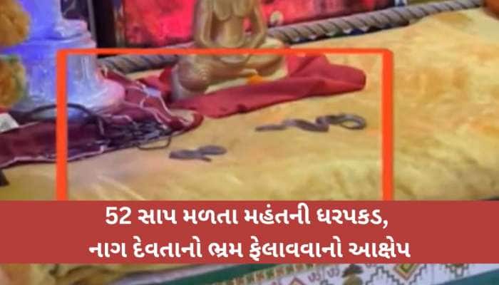 ખેતલા આપા મંદિરમાં વન વિભાગનો દરોડો! કોમન સેન્ડ બોઆ પ્રજાતિના 52 સાપનું રેસ્ક્યું!