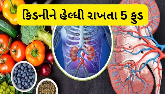 Kidney: કિડનીને ફિટફાટ રાખે છે આ 5 વસ્તુઓ, શિયાળામાં ખાશો તો ઈમ્યુનિટી પણ બુસ્ટ થશે 