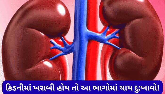 કિડની ખરાબ થાય ત્યારે શરીરના આ અંગોમાં થાય છે દુ:ખાવો, અવગણશો તો ભારે પડશે!