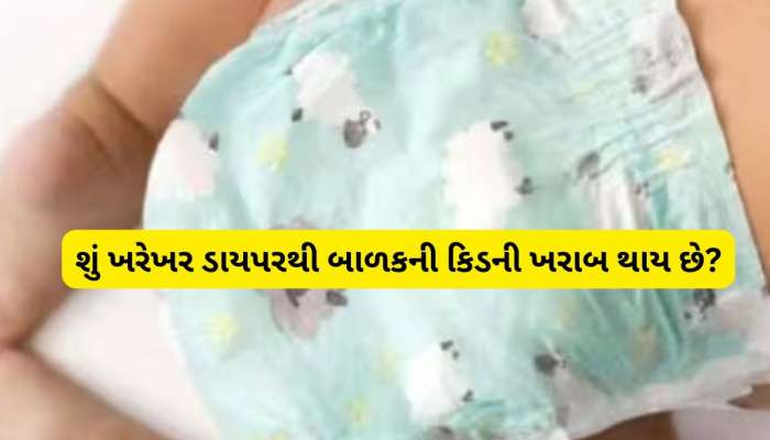 શું ડાયપર પહેરવાથી ખરાબ થઈ જાય છે બાળકની કિડની, જાણો આ વાતમાં કેટલું સત્ય છે?