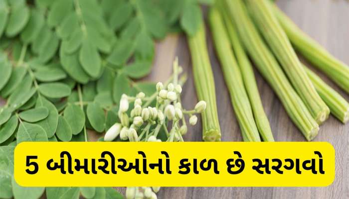 5 બીમારીઓનો કાળ છે સરગવાની શીંગ અને પાન, વર્ષો જુની તકલીફોથી પણ મુક્તિ મળી શકે