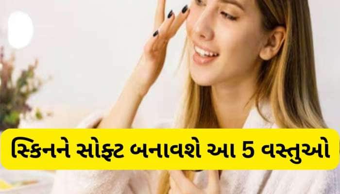 શિયાળામાં સ્કિન પર લગાડી શકો છો આ 5 વસ્તુઓ, ફાટેલી અને ડ્રાઈ સ્કિન થઈ જશે બેબી સોફ્ટ