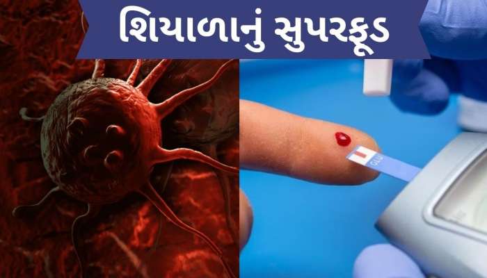 કેન્સરનું જોખમ ઘટાડવાથી લઈને સુગરને કંટ્રોલ કરે છે આ લાલ શાકભાજી, જાણો તેના ફાયદા