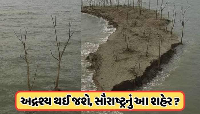નવા રિપોર્ટમાં ચોકાવનારો ખુલાસો ! ગુજરાતના આ શહેરને ઘેરી લેશે સમુદ્રનું પાણી, જાણો