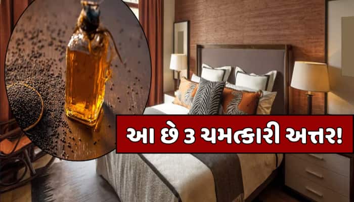 આ છે એવા 3 ચમત્કારી અત્તર જે ઘરમાં ચુંબકની જેમ ખેંચી લાવે છે ધન, જાણો વાસ્તુ નિયમો!