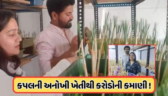 અશક્યને શક્ય કરી બતાવે તે જ ગુજરાતી, દંપતીએ કરી અનોખી વસ્તુની ખેતી, મણનો ભાવ છે 1