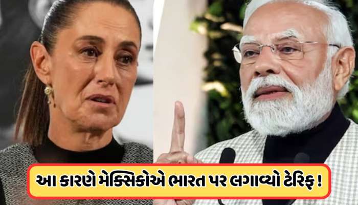 મેક્સિકોએ ભારત પર કેમ લગાવ્યો ટેરિફ, તેનાથી કયા ક્ષેત્રને સૌથી વધુ થશે નુકસાન ? જાણો