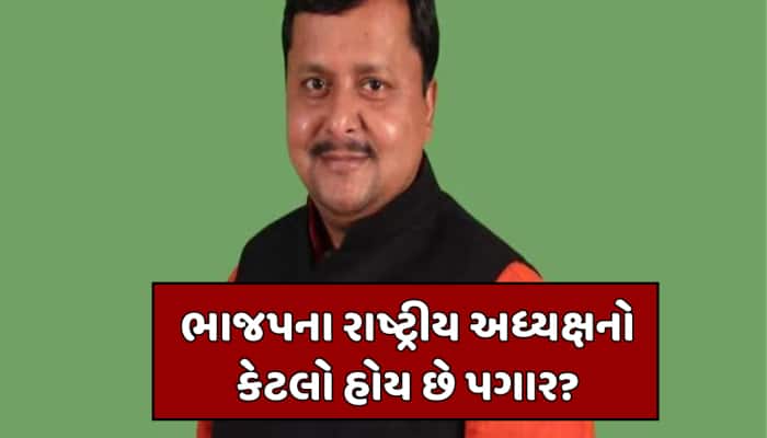 શું રાષ્ટ્રીય અધ્યક્ષને અલગથી પગાર ચૂકવે છે ભાજપ, નીતિન નબીનને શું-શું મળશે સુવિધા?