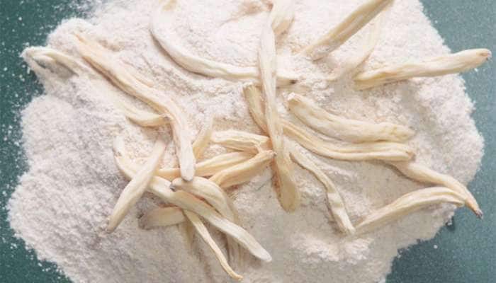 Safed Musli: દૂધ સાથે સફેદ મૂસળી ખાવાથી થતા લાભ વિશે જાણો