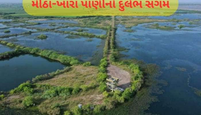 ફરવાના શોખીનો વચ્ચે લોકપ્રિય બની આ જગ્યા, 1 વર્ષમાં 52 હજારથી વધુ લોકોએ લીધી મુલાકાત