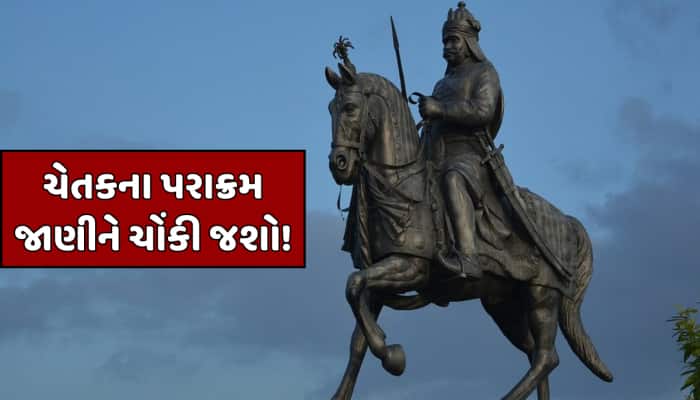 કઈ નસલનો ઘોડો હતો ચેતક? મહારાણા પ્રતાપે કેટલામાં ખરીદ્યો હતો તેને?