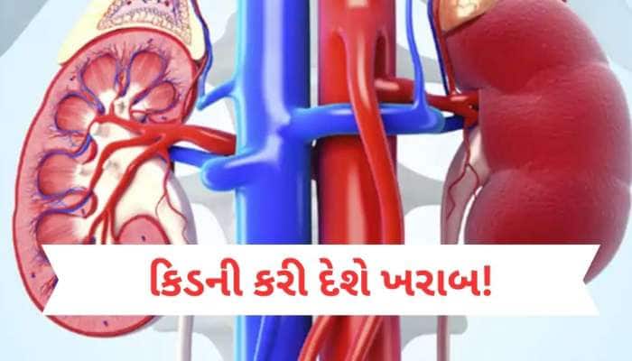 Kidney Damage: કિડનીના દુશ્મન છે આ પાંચ ખાદ્ય પદાર્થો, પહોંચાડે છે ભયંકર નુકસાન
