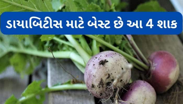 મેથી-કારેલા છોડો, ડાયાબિટીસમાં દવાની જેમ કામ કરશે આ 4 શાક, શિયાળામાં ખાઈ શકો છો રોજ