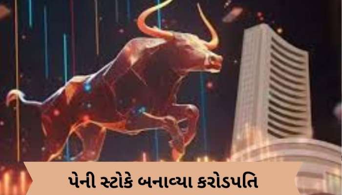 આ સ્ટોકે 1 લાખના બનાવી દીધા ₹1.23 કરોડ, ધીરજ રાખનાર રોકાણકારો બન્યા માલામાલ