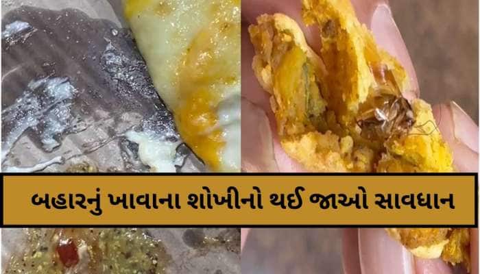 સ્વાદનો ચટાકો મારનારાઓ ચેતી જજો! પીઝામાંથી ઈયળ તો બટાકાવડામાંથી વંદો નીકળતા હોબાળો