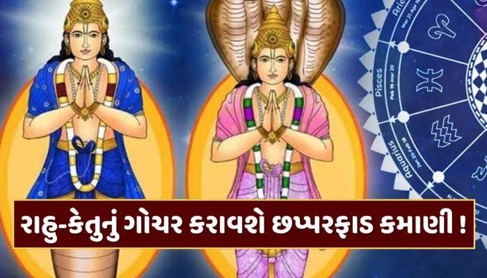 નવા વર્ષમાં રાહુ-કેતુનું ગોચર આ 4 રાશિના જાતકોને બનાવશે માલામાલ, થશે છપ્પરફાડ કમાણી!