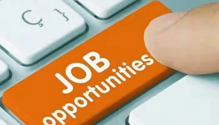 રેલવે, બેંક, UPSC...2026માં નીકળશે આ બંપર સરકારી નોકરીઓ, માહિતી જાણી લો