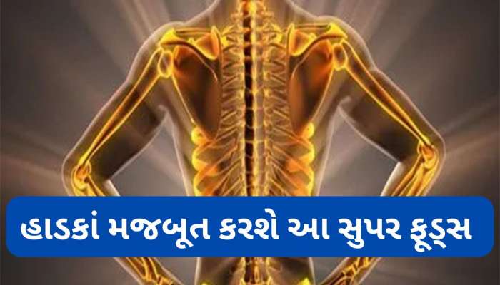 હાડકાં નબળા પડી રહ્યા છે ? ખોરાકમાં સામેલ કરો આ વસ્તુઓ, હાડકાં લોખંડ જેવા મજબૂત થશે