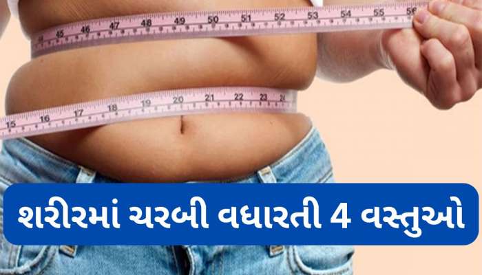 Weight Loss: વજન ઓછું કરવું હોય તો આ 4 વસ્તુઓ ખાવાનું કરી દો બંધ
