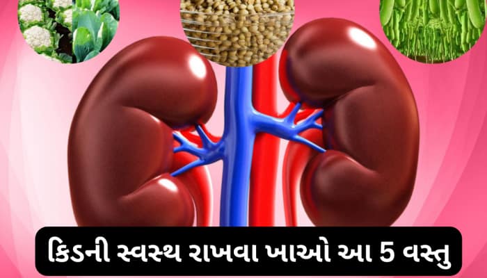 કિડનીને સ્વસ્થ રાખવા માટે રોજ ખાઓ આ 5 સુપરફૂડ, ડેમેજ થવાનું જોખમ નહીં રહે