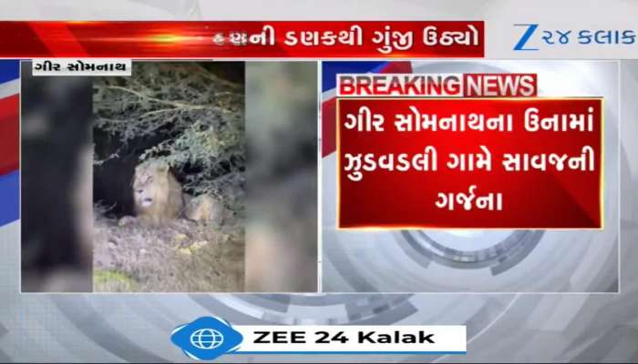 gir zudvadali village people demand for security from forest department due to lions