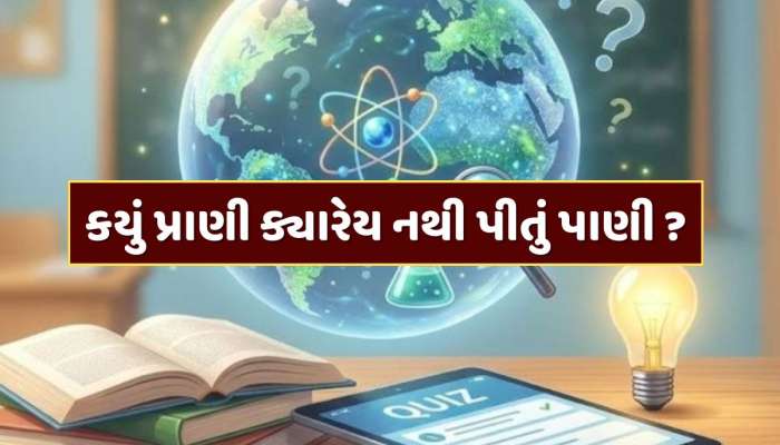 GK Quiz : એવું કયું પ્રાણી છે, જે ક્યારેય નથી પીતું પાણી ? એક ક્લિકમાં જાણી લો જવાબ