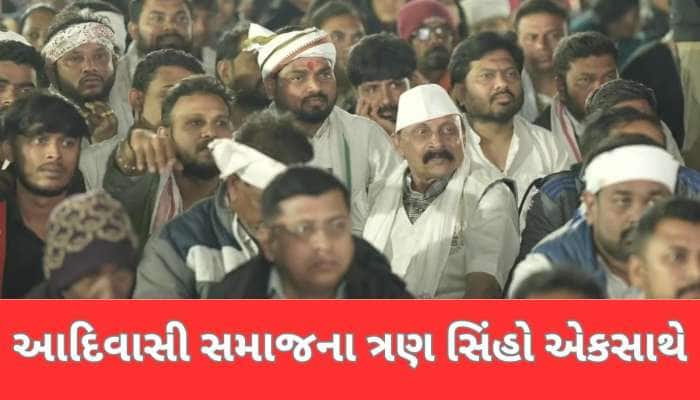 સમાજ હોય ત્યાં રાજકારણ ન હોય! આદિવાસી સમાજના ત્રણ સિંહ એકસાથે આવ્યા
