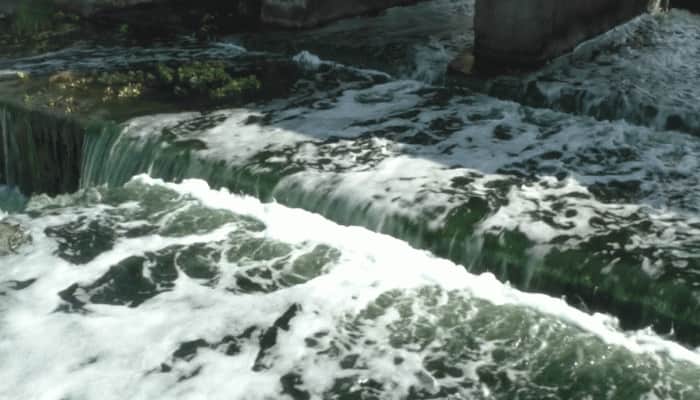 ભાદર તારા વહેતા પાણી..ગુજરાતની આ નદી કેમિકલનું કબ્રસ્તાન બની! કોણ ફેલાવે છે પ્રદૂષણ