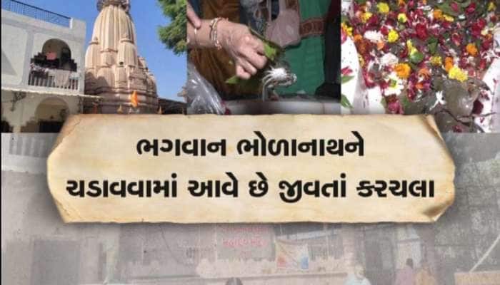 ગુજરાતમાં આવેલું છે આ મંદિર, જ્યાં ભોળાનાથને ચડાવવામાં આવે છે જીવતાં કરચલા