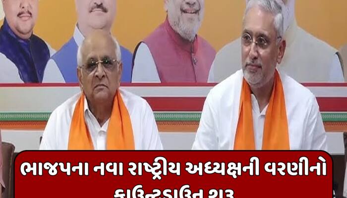 દિલ્હીમાં જામશે ગુજરાતના નેતાઓનો મેળાવડો, રાષ્ટ્રીય અધ્યક્ષની ચૂંટણી માટે જશે દિલ્હી