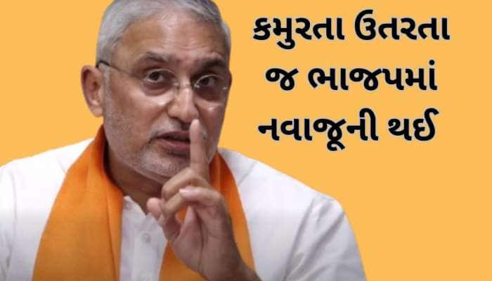 હવે જગદીશ વિશ્વકર્માનો ખરો લિટમસ ટેસ્ટ! કારોબારીમાં જુના જોગીઓના પત્તા કપાયા