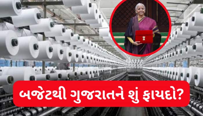 બજેટમાં ગુજરાત માટે શું? રાજ્યમાં આ ઉદ્યોગોને મળશે વેગ, રોકાણ-રોજગારીની વિપુલ તકો