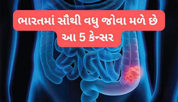 World Cancer Day: આ 5 કેન્સરના કેસ ભારતમાં સૌથી વધુ, જીવલેણ રોગથી બચવા શું કરવું?