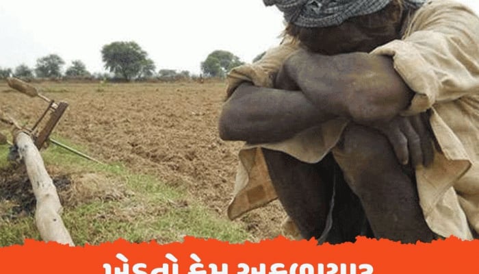 ભારત-અમેરિકા ટ્રેડ ડીલથી ખેડૂતો કેમ અકળાયા? કહ્યું- ડોનાલ્ડ ટ્રમ્પ સામે નતમસ્તક થયા