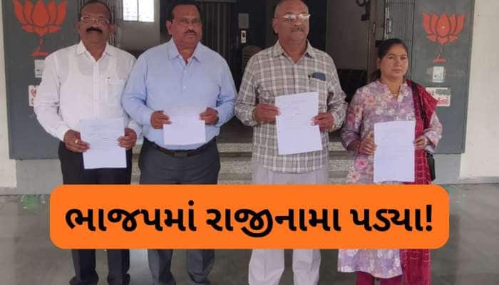 પાટીલની નગરી નવસારીમાં જ ભાજપમાં ભડકો, નવા સંગઠન બાદ ચાર રાજીનામા પડ્યા