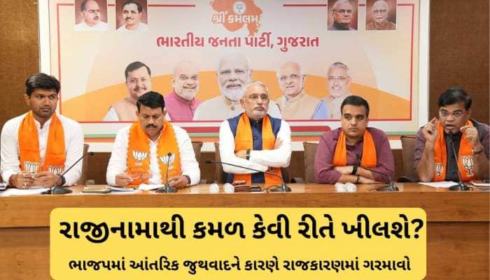 ભાજપમાં નવી મોસમ : રિસામણાનું રાજકારણ રાજીનામા પર પહોંચ્યું, ક્યાંક પક્ષે હાંક્યા