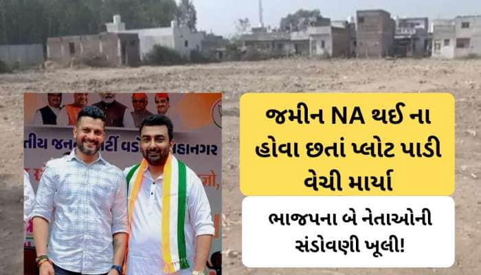 વડોદરાનો આકારણી કૌભાંડ શું છે, જેને કારણે ભાજપના બે નેતાઓના રાતોરાત રાજીનામા પડ્યા! 