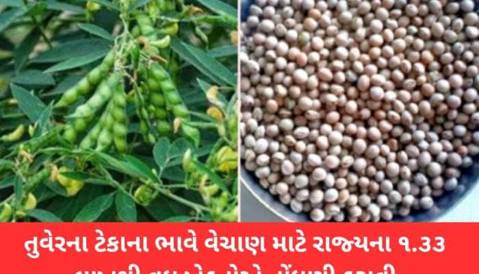 ગુજરાતના ખેડૂતો માટે મહત્વના સમાચાર : સરકારે કરી તુવેરની ટેકાના ભાવે ખરીદીની જાહેરાત