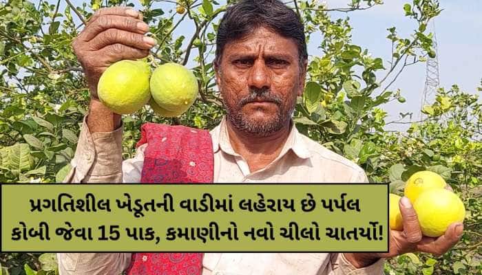 ભાવનગરના ખેડૂતની કમાલ: સિડલેસ લીંબુ-પર્પલ કોબી જેવા પાકની ખેતી દ્વારા કરે છે કમાણી